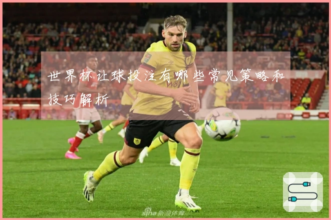 世界杯让球投注有哪些常见策略和技巧解析