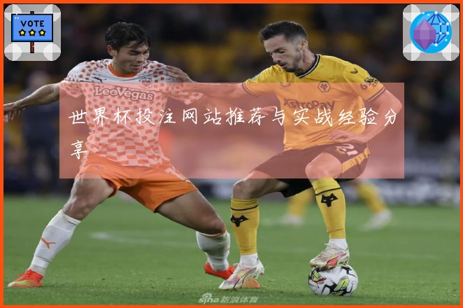 世界杯投注网站推荐与实战经验分享