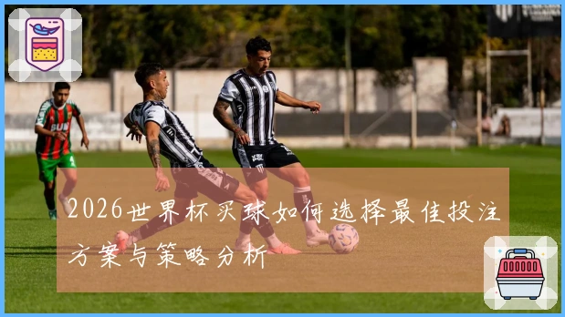 2026世界杯买球如何选择最佳投注方案与策略分析