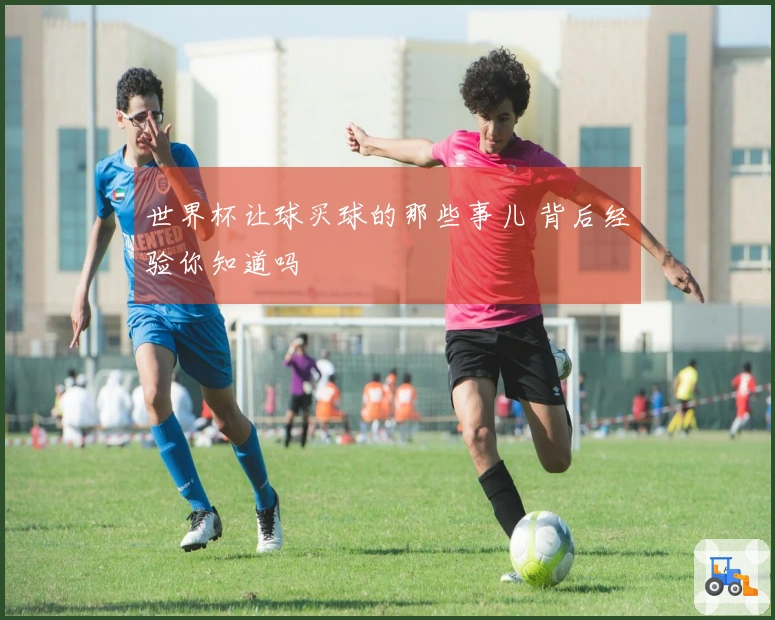 世界杯让球买球的那些事儿 背后经验你知道吗