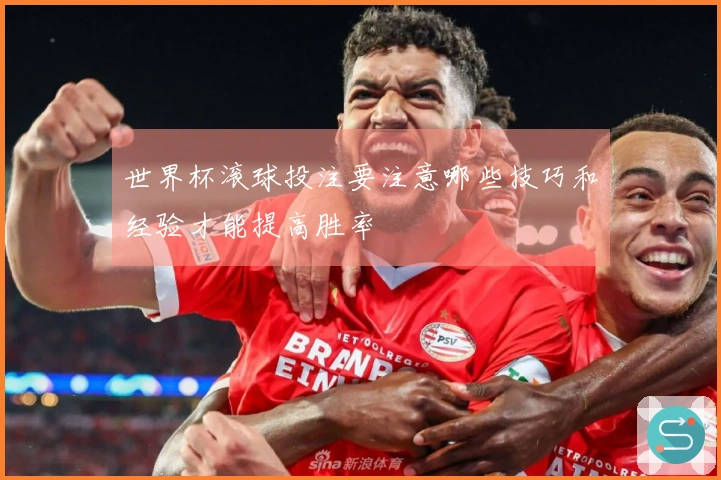 世界杯滚球投注要注意哪些技巧和经验才能提高胜率