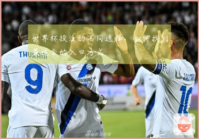 世界杯投注的不同选择，如何找到最适合的入口方式