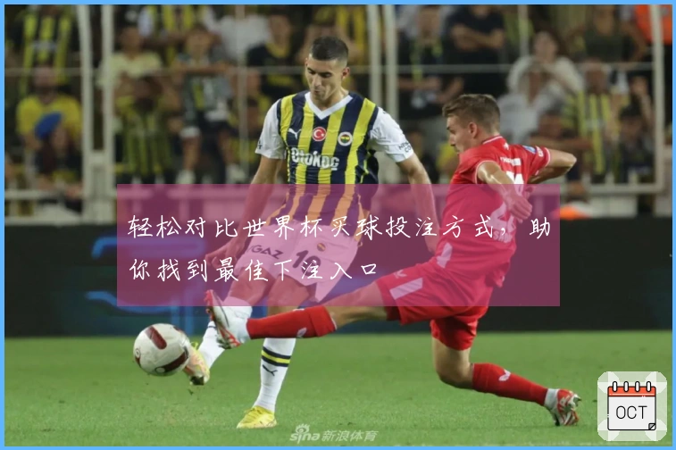 轻松对比世界杯买球投注方式，助你找到最佳下注入口