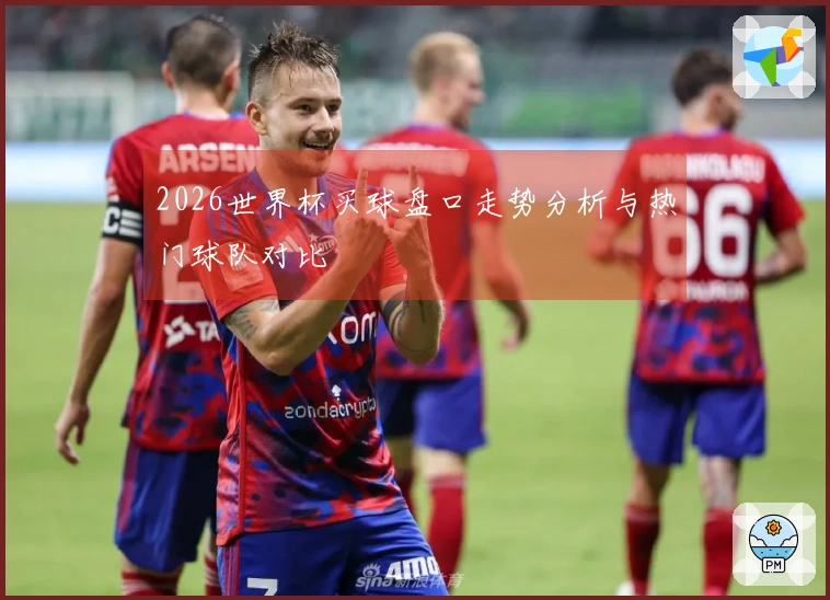 2026世界杯买球盘口走势分析与热门球队对比