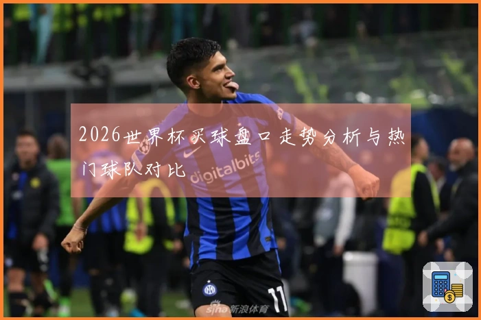 2026世界杯买球盘口走势分析与热门球队对比