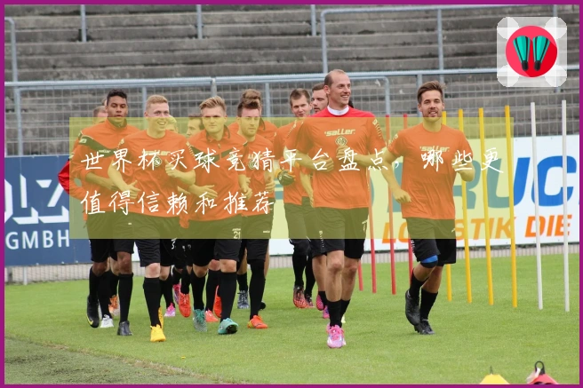世界杯买球竞猜平台盘点，哪些更值得信赖和推荐